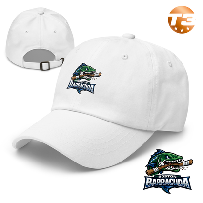 Boston Barracudas 2026 Classic Dad Hat