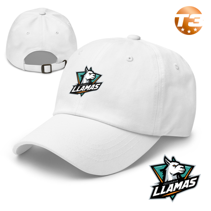 Delmarva Llamas 2026 Classic Dad Hat