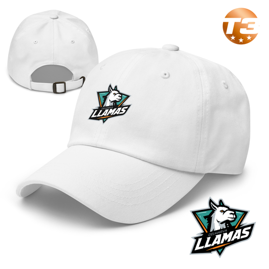 Delmarva Llamas 2026 Classic Dad Hat