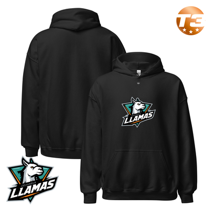 Delmarva Llamas 2026 Classic Logo Hoodie