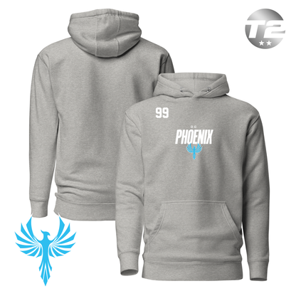 DC Phoenix 2026 Performance Player Hoodie