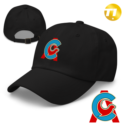 Atlantic City Seals 2026 Classic Dad Hat